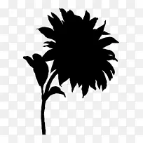 开花植物剪影叶分枝-空若网 开花植物剪影叶分枝-空若网