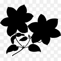 ¼ôÌù»Í¼°¸¼ôÓ°Ò¶¿ª»¨Ö²Îï-¿ÕÈôÍø ¼ôÌù»Í¼°¸¼ôÓ°Ò¶¿ª»¨Ö²Îï-¿ÕÈôÍø