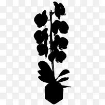 开花植物的字体剪影叶-空若网 开花植物的字体剪影叶-空若网