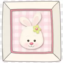 ��������ɫ�������ڲ����ϸ���������������������.����-������