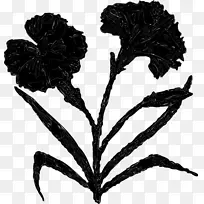 Ҷ�ӿ���ֲ��-������