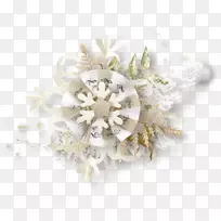 中心博客图像gifpng图片.聚类带-空若网 中心博客图像gifpng图片.聚类带-空若网