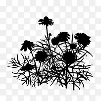 ����ֲ���Ӱ����Ҷ-������