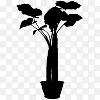 ֦Ҷֲ�ﾥ����-������