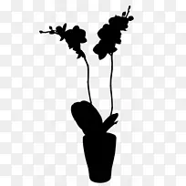 开花植物剪影叶分枝-空若网 开花植物剪影叶分枝-空若网