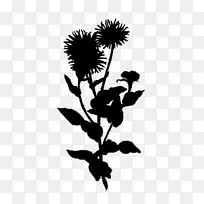 叶植物茎轮廓字体开花植物-空若网 叶植物茎轮廓字体开花植物-空若网