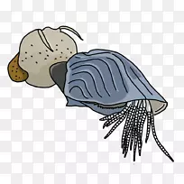 电子邮件剪辑艺术插图-空若网 电子邮件剪辑艺术插图-空若网