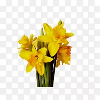 ��������л�����ֲ�ﾥ-������