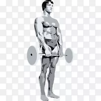 阿诺德施瓦辛格女性健美-阿诺德施瓦辛格-空若网 阿诺德施瓦辛格女性健美-阿诺德施瓦辛格-空若网