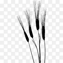 �ݻ�ֲ�ﾥ��Ʒֲ��-������