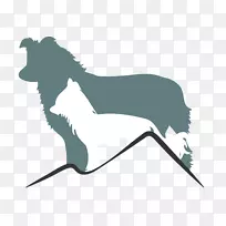 冠狗边境牧羊犬电子邮件-奥地利边境-空若网 冠狗边境牧羊犬电子邮件-奥地利边境-空若网