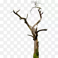 洗发水护发素卡贝拉聚二甲基硅氧烷油-空若网 洗发水护发素卡贝拉聚二甲基硅氧烷油-空若网