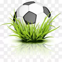 树蛙夹足球-空若网 树蛙夹足球-空若网