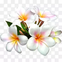 百合花剪贴画.艺术品-空若网 百合花剪贴画.艺术品-空若网