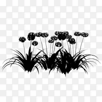 开花植物-空若网 开花植物-空若网