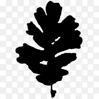 树木剪影字体叶开花植物-空若网 树木剪影字体叶开花植物-空若网