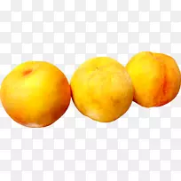 ����֦-������