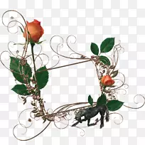 �����������ϻ���õ��-õ���Ե-������