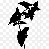 开花植物剪影叶植物-空若网 开花植物剪影叶植物-空若网