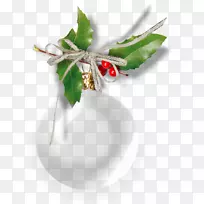 剪贴画图片png图片圣诞节博客-冬青设计元素-空若网 剪贴画图片png图片圣诞节博客-冬青设计元素-空若网