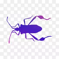 ���������濨ͨ��ɫ��-������