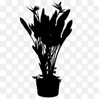 开花植物剪影叶树-空若网 开花植物剪影叶树-空若网