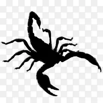 蝎子,蜘蛛,昆虫剪贴画剪影-空若网 蝎子,蜘蛛,昆虫剪贴画剪影-空若网
