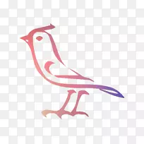 ��������ͼ��һ�׶ογ���Ϣ-������