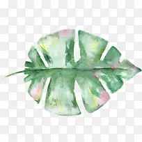 Ë®²Ê»£º»¨»ÜË®²Ê»ÐÎÏóÒÕÊõ-¿ÕÈôÍø Ë®²Ê»£º»¨»ÜË®²Ê»ÐÎÏóÒÕÊõ-¿ÕÈôÍø