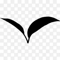 叶植物茎线剪贴画开花植物-空若网 叶植物茎线剪贴画开花植物-空若网