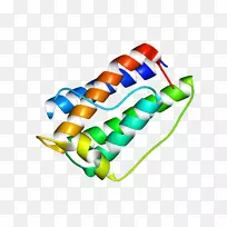 剪贴画线产品鞋身首饰不对称丝带-空若网 剪贴画线产品鞋身首饰不对称丝带-空若网