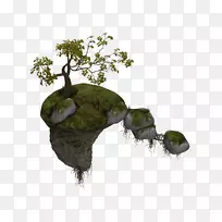 树浮-空若网 树浮-空若网