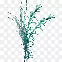 º£²Ýº£Ôå¼ôÌù»-ɺº÷-¿ÕÈôÍø º£²Ýº£Ôå¼ôÌù»-ɺº÷-¿ÕÈôÍø