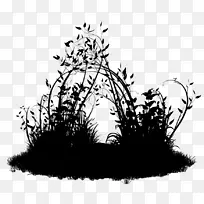 Bioparque la ReservaÖ²ÎïËÉÊ÷ÓÎÀÖÔ°²©¿Í-¿ÕÈôÍø Bioparque la ReservaÖ²ÎïËÉÊ÷ÓÎÀÖÔ°²©¿Í-¿ÕÈôÍø