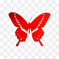 帝王蝴蝶保险杠贴纸虫-空若网 帝王蝴蝶保险杠贴纸虫-空若网