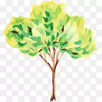 树木水彩画艺术剪贴画水彩画叶子-空若网 树木水彩画艺术剪贴画水彩画叶子-空若网