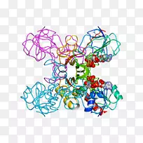 ��ͼ�������߲�Ʒ��-���Գƴ�-������