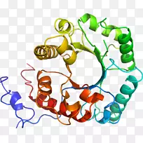 �������л���������Ϊ��Ʒ-com����-������