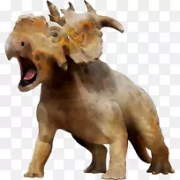 ����ֳ���Ա���-������