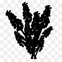 叶型侧影树开花植物-空若网 叶型侧影树开花植物-空若网