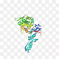 剪贴画线点树身珠宝.非对称丝带-空若网 剪贴画线点树身珠宝.非对称丝带-空若网