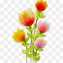 花园玫瑰花型切花郁金香-空若网 花园玫瑰花型切花郁金香-空若网