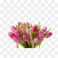 郁金香切花花瓣-空若网 郁金香切花花瓣-空若网