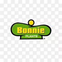 标志品牌字体剪贴画产品-arugula图案-空若网 标志品牌字体剪贴画产品-arugula图案-空若网