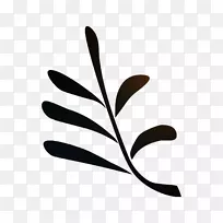 植物茎花叶夹艺术手指-空若网 植物茎花叶夹艺术手指-空若网