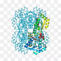 ��ͼ�������߲�Ʒ��-���Գƴ�-������