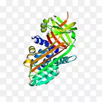 插画艺术树鞋线.非对称丝带-空若网 插画艺术树鞋线.非对称丝带-空若网