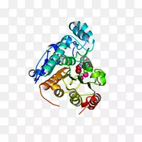 ��������Ʒ�л�����.���Գƴ�-������