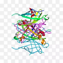 剪贴画线点产品.不对称色带-空若网 剪贴画线点产品.不对称色带-空若网