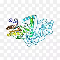 剪贴画插图平面设计线艺术不对称丝带-空若网 剪贴画插图平面设计线艺术不对称丝带-空若网